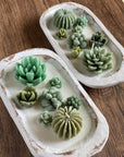 Arizona Dream Cactus Garden Candle — Sculptural Soy Wax in Carved Wood Bowl