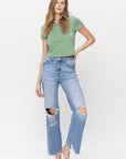 VERVET by Flying Monkey 90's Vintage Super High Rise Flare Jeans