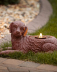 Copper Finished Dog Fountain