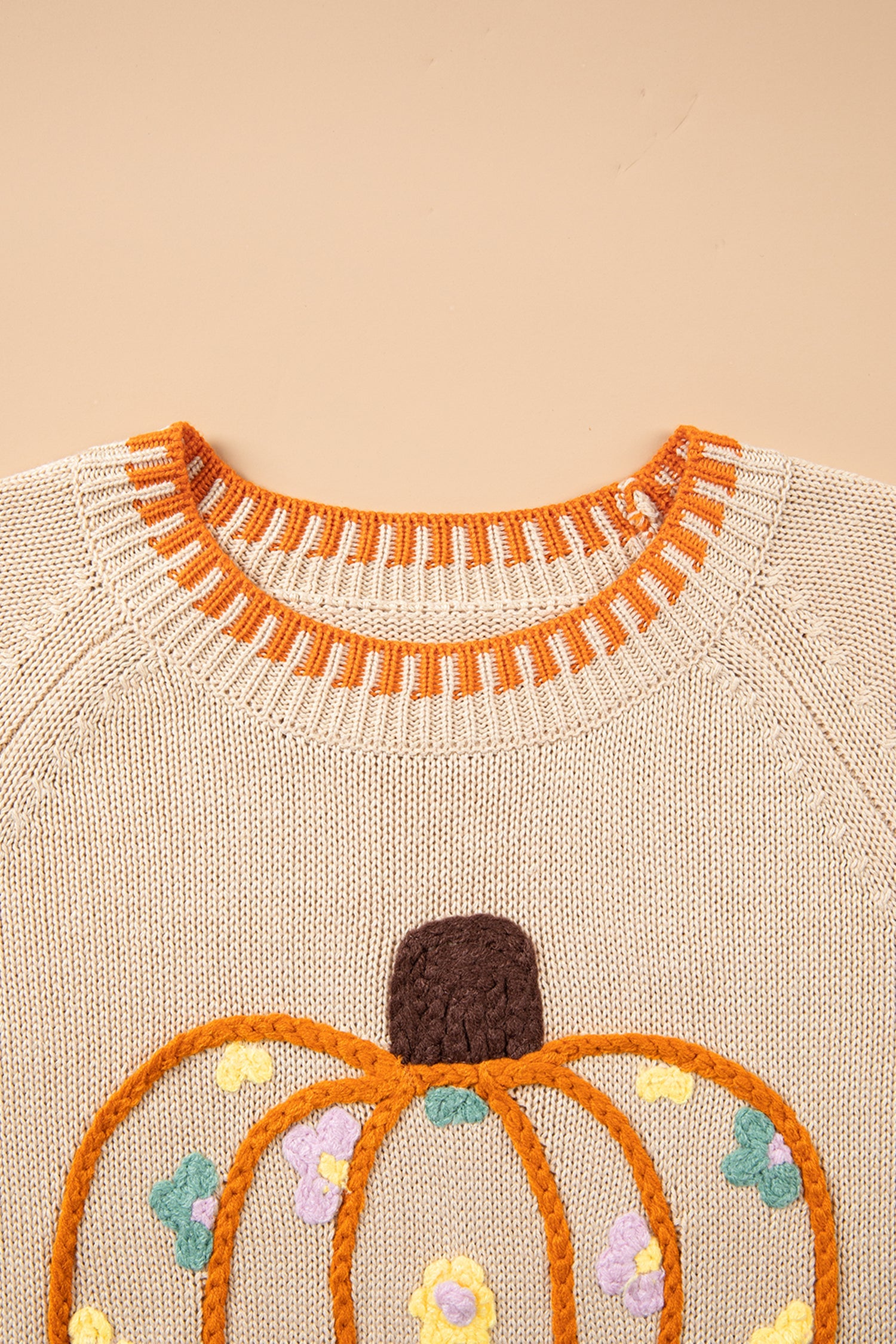 Pumpkin Floral Embroidered Round Neck Sweater