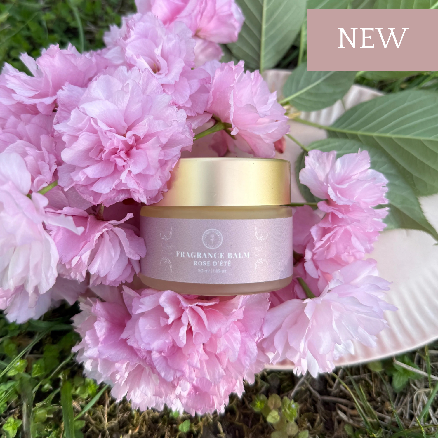 A beautiful product at my pampered life seattle.