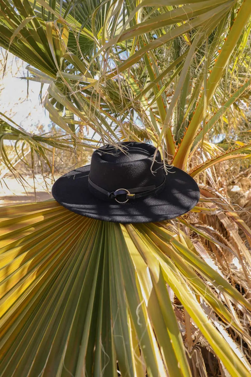 Wide Brim Western Hat with Gold Ring Buckle