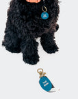 Gus & Co - Dog Tag and Keychain Set - My Pampered Life Seattle