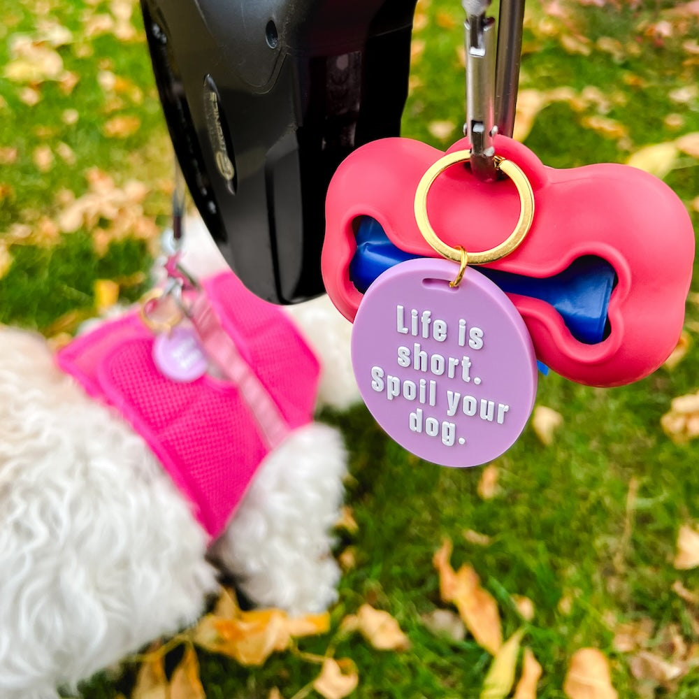 Gus & Co - Dog Tag and Keychain Set