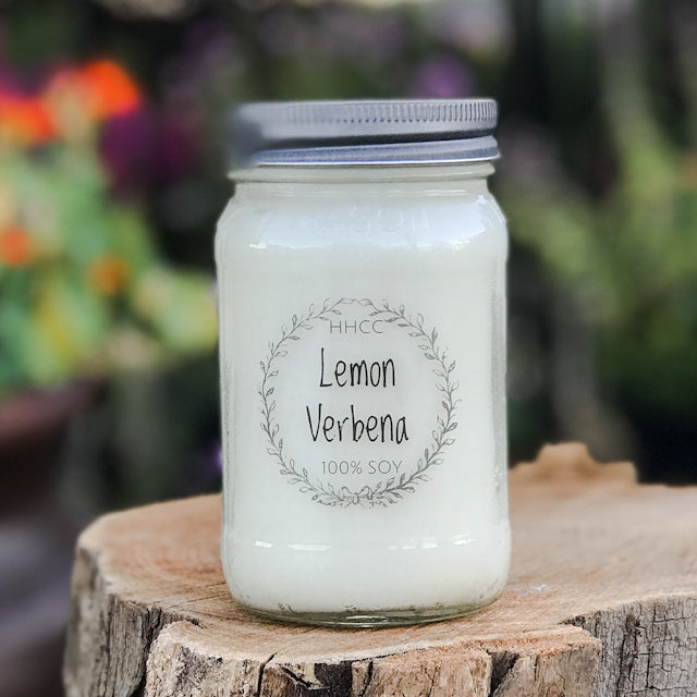 A beautiful product at my pampered life seattle.