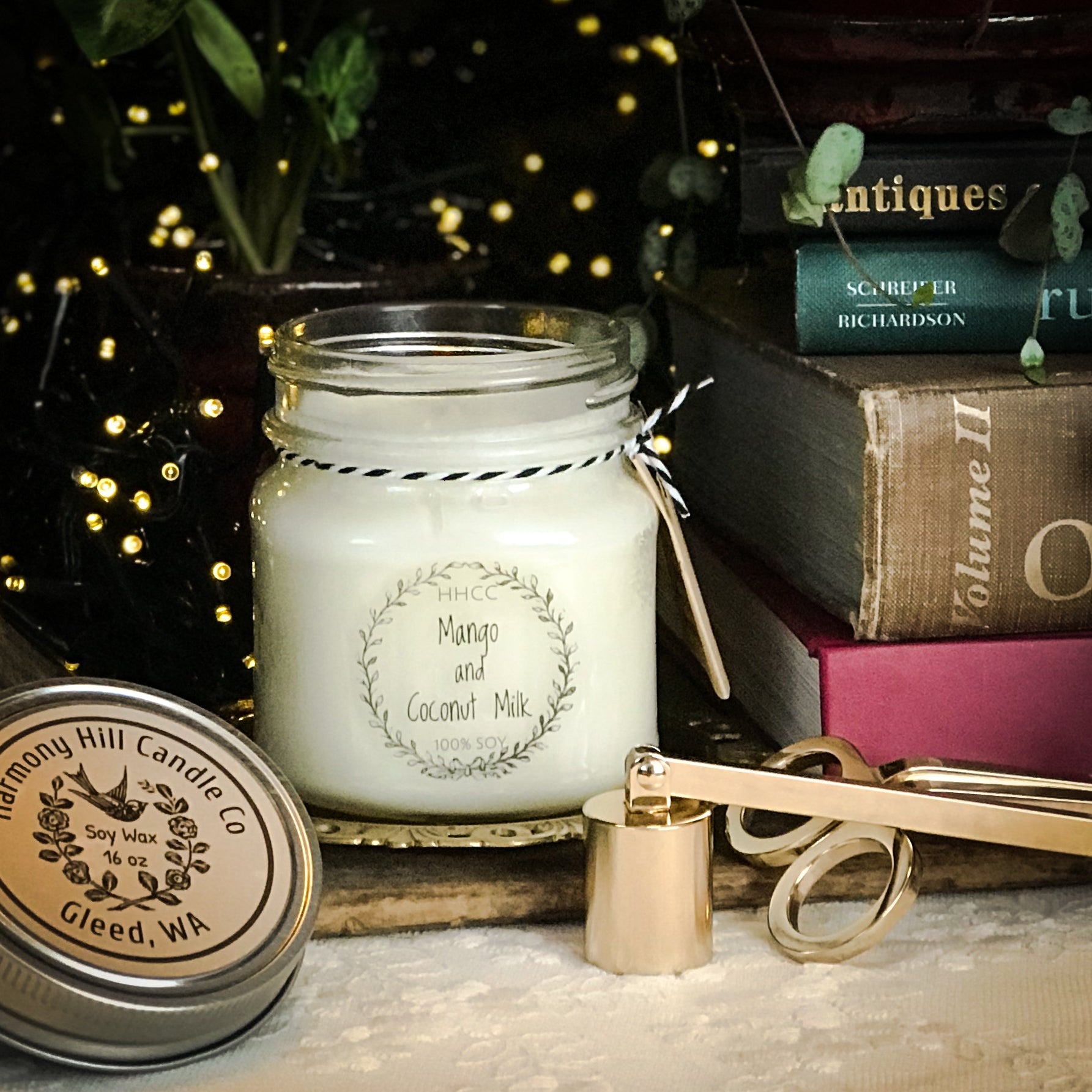 A beautiful product at my pampered life seattle.