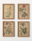 Retro Wildflower Art Print Set - Online Only