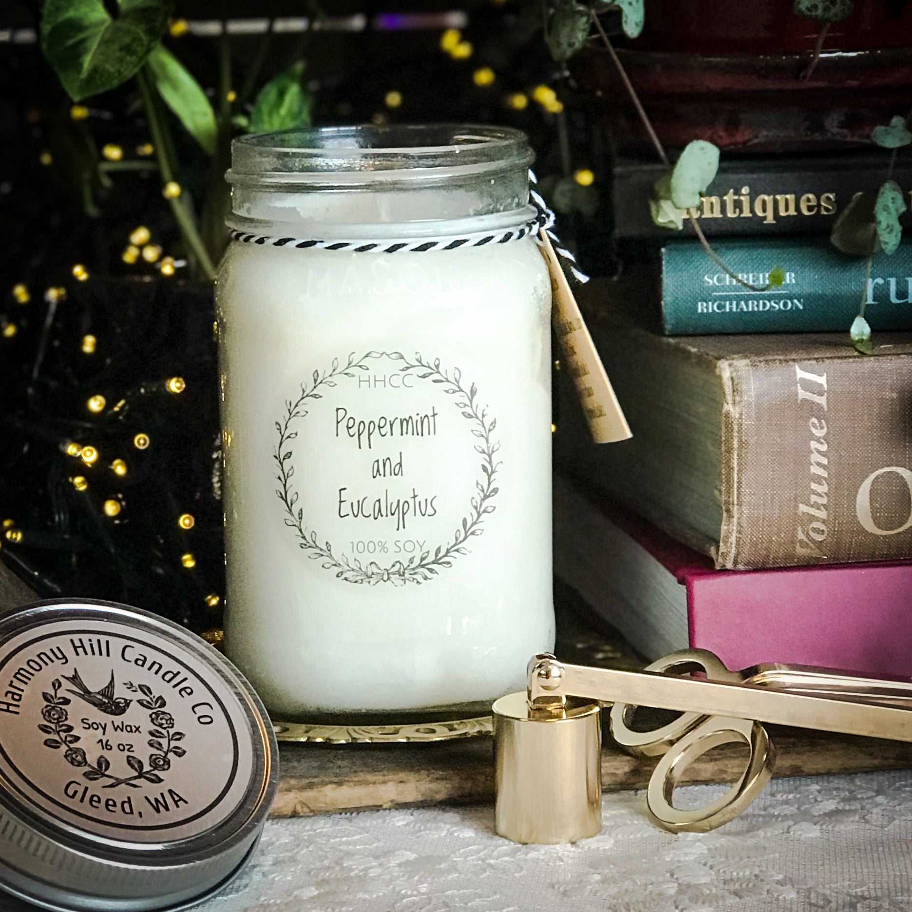 A beautiful product at my pampered life seattle.