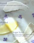 Capsule Skincare Kit - My Pampered Life Seattle