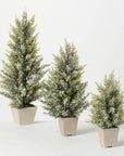 Potted Pine & Berry Tree Set - Online Only