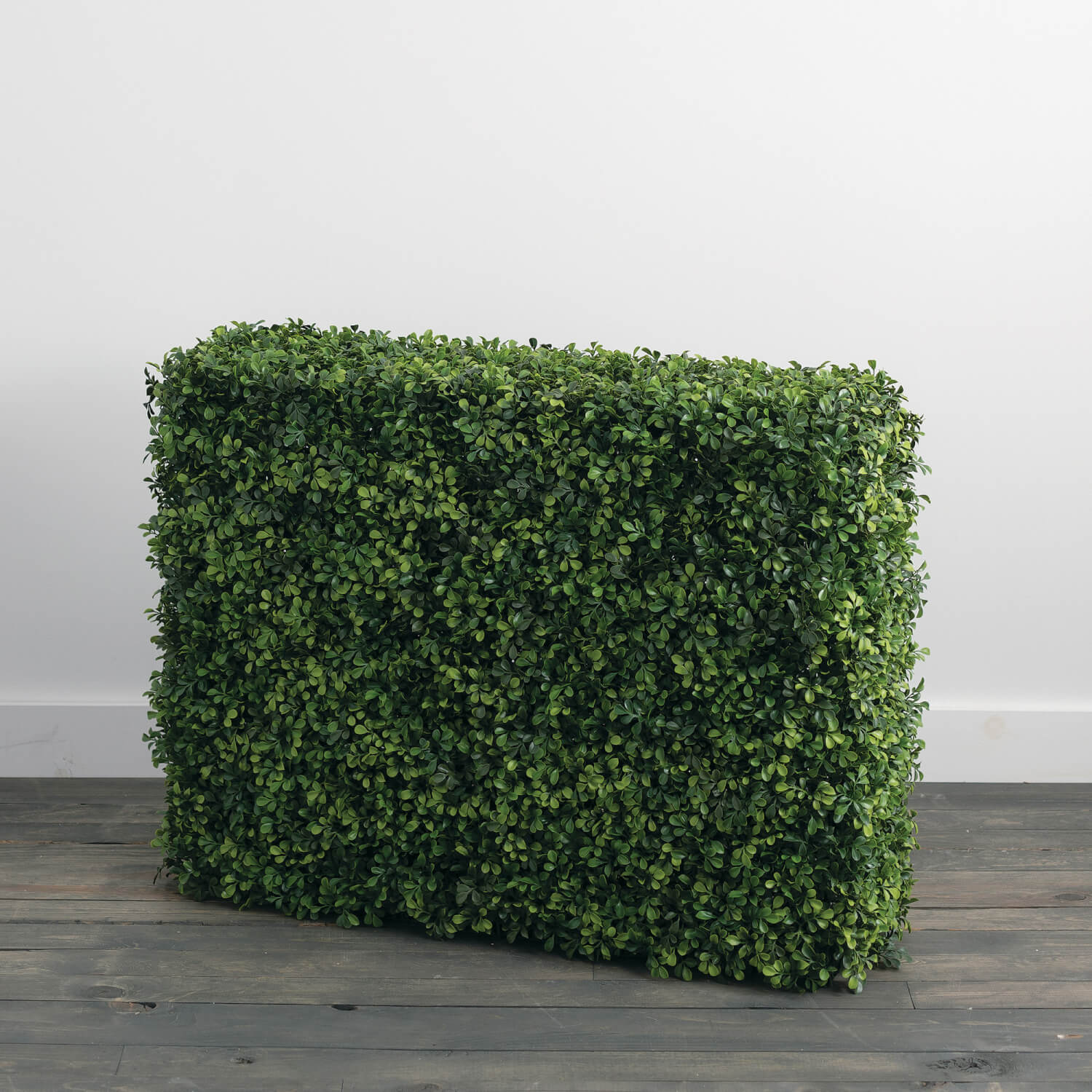 Faux Boxwood Hedge - Online Only