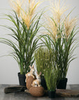 Potted Agave Reed (Faux) - Online Only