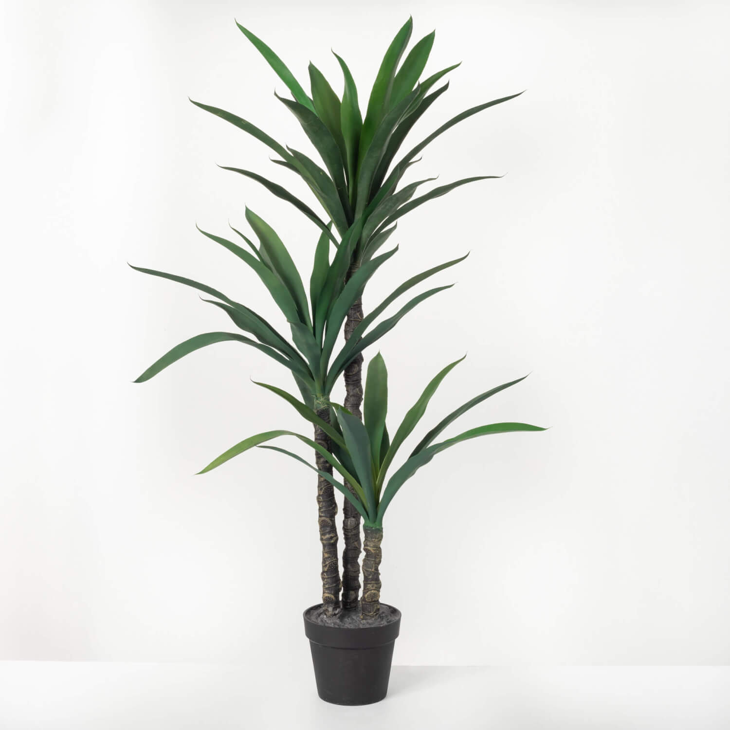 Large Potted Dracaena Tree (Faux) - Online Only