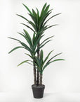 Large Potted Dracaena Tree (Faux) - Online Only