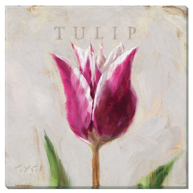 Darren Gygi Tulip Wall Art 36x36 - Online Only