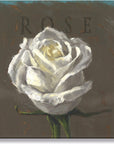 Darren Gygi White Rose Wall Art 36x36 - Online Only