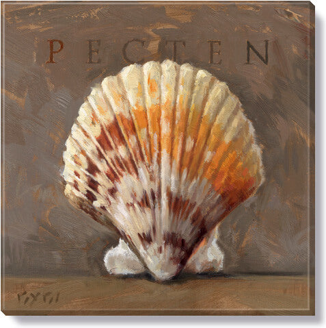 Darren Gygi Pecten (Shell) Wall Art 36x36 - Online Only
