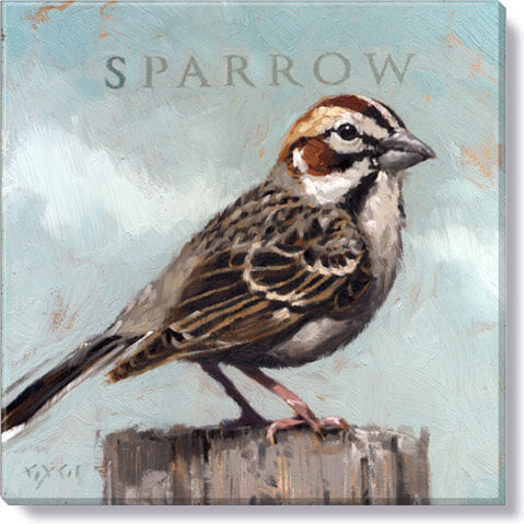 Darren Gygi Sparrow Wall Art 36x36 - Online Only