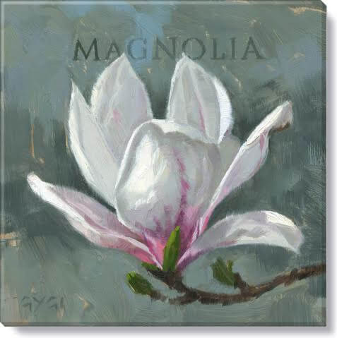 Darren Gygi Magnolia Wall Art 36x36 - Online Only