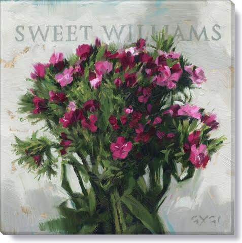 Darren Gygi Sweet Williams Wall Art 36x36 - Online Only