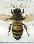 Darren Gygi Honeybee Wall Art 36x36 - Online Only