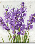 Darren Gygi Lavender Wall Art 36x36 - Online Only