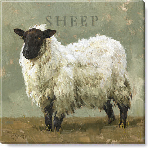 Darren Gygi Sheep Wall Art 36x36 - Online Only