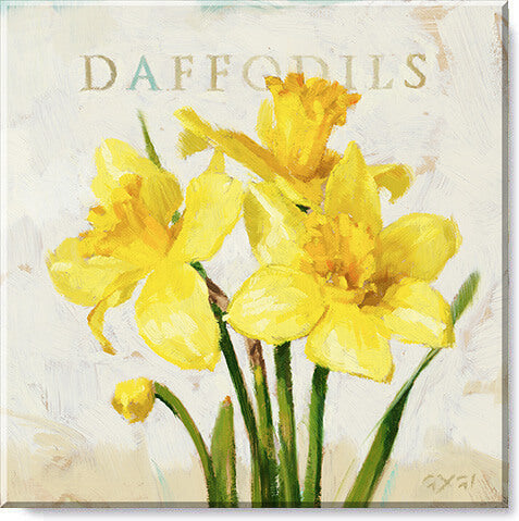 Darren Gygi Daffodils Wall Art 36x36 - Online Only