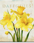 Darren Gygi Daffodils Wall Art 36x36 - Online Only