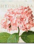 Darren Gygi Pink Hydrangea Wall Art 36x36 - Online Only