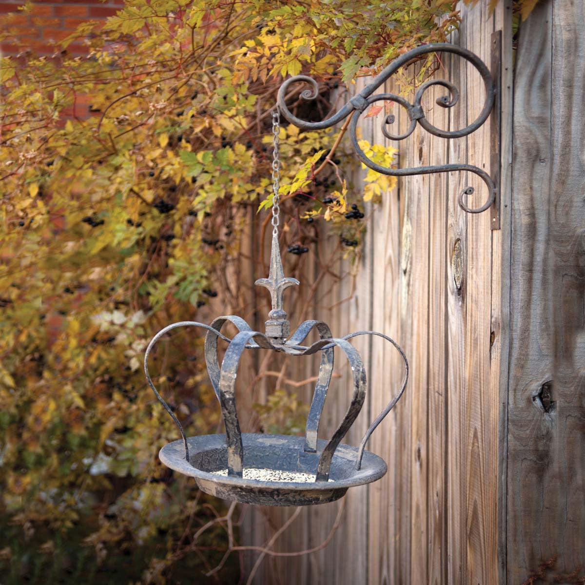 Hanging Crown Bird Feeder with Metal Wall Bracket - Online Only