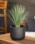 Contempo Textured Black Pots Set of 2 - Online Only