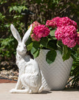 Large Whitewashed Rabbits (Set of 2) - Online Only